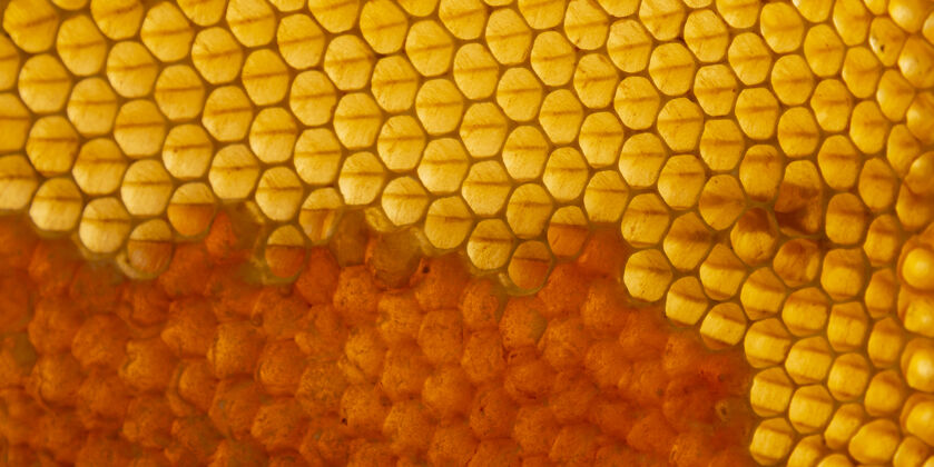 宏黄色蜂窝状纹理六边形蜂窝蜂蜜