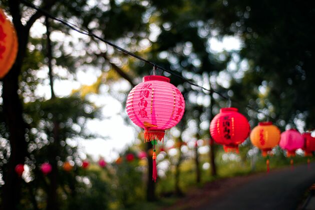 传统一个粉红色的中国灯笼挂在电线上的选择性聚焦拍摄庆祝事件灯笼