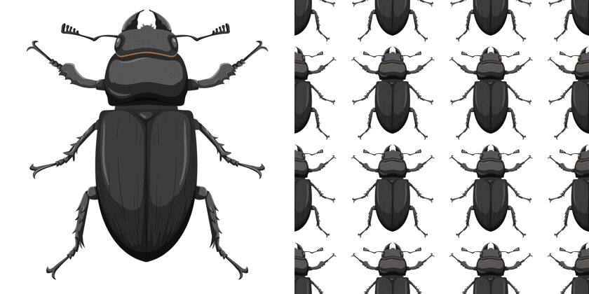 昆虫学甲虫虫和无缝背景图案包装动物