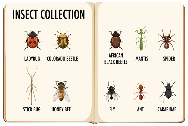 蜜蜂一套昆虫藏书网页设置小