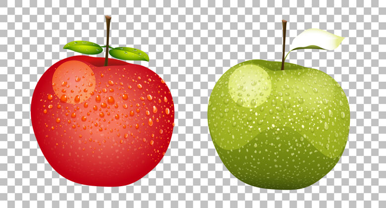 水果绿苹果和红苹果人物蛋白质苹果