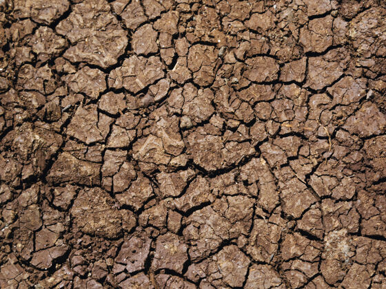 裂缝干裂的旱地地表泥土自然
