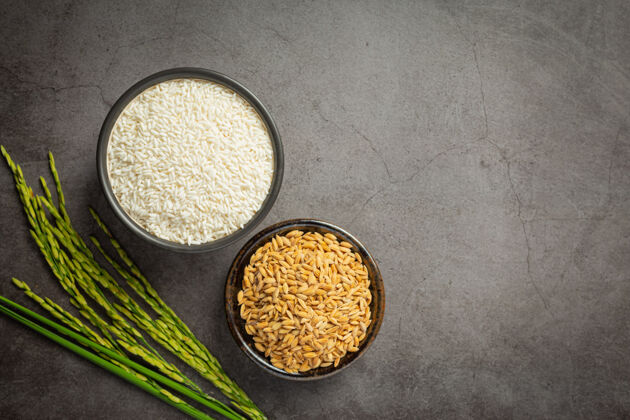 幼苗小碗里的白米和稻谷 深色的地板上种着稻子大米蛋白质收获