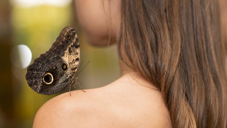 肩膀肩上蝴蝶的特写镜头昆虫蝴蝶水平